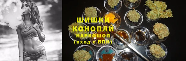 индика Дмитриев