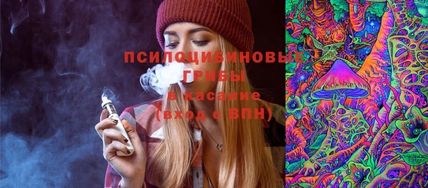 прущая мука Дмитров