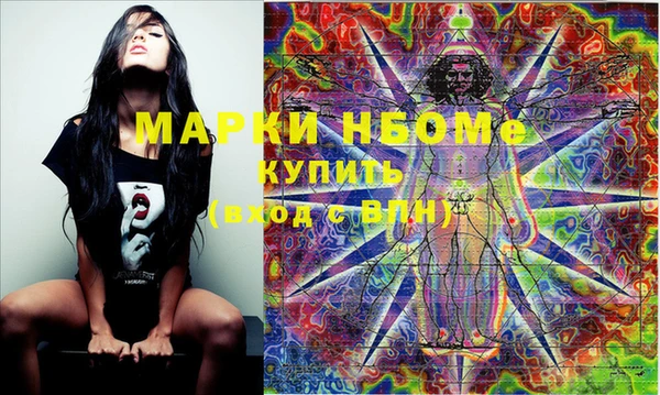 молекула духа Ельня