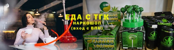 индика Дмитриев