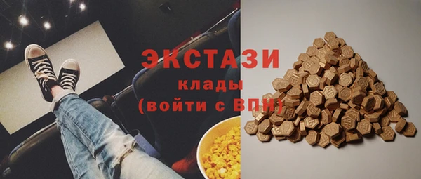 молекула духа Ельня