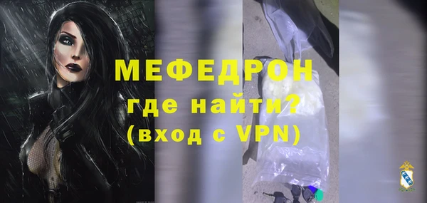 индика Дмитриев