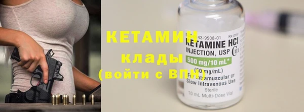 индика Дмитриев