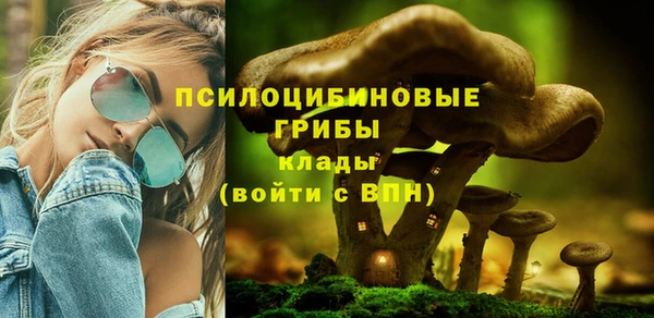 амф Дмитровск