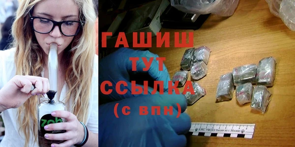 индика Дмитриев