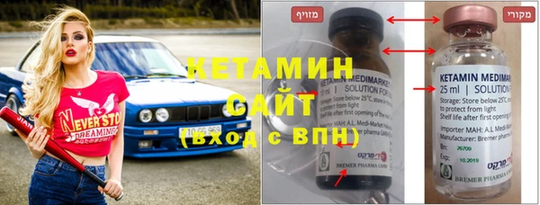 индика Дмитриев