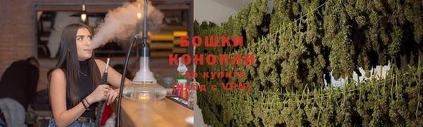 амф Дмитровск