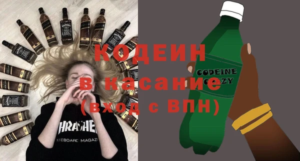 молекула духа Ельня