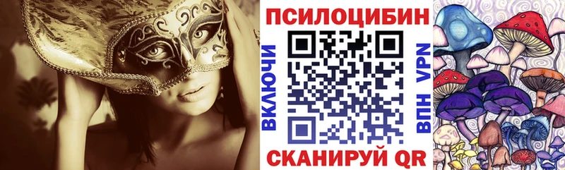 ссылка на мегу сайт  Новоузенск  Галлюциногенные грибы мицелий 